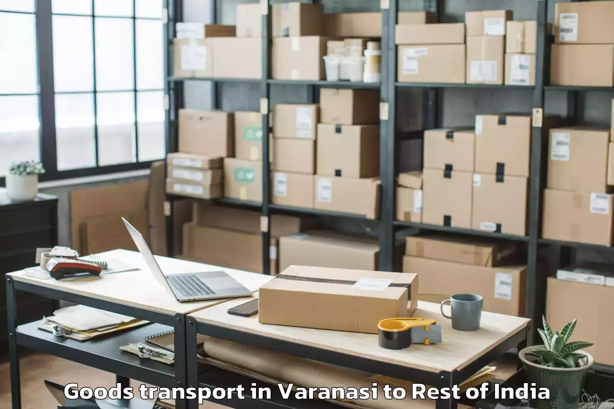 Professional Varanasi to Udhampur Goods Transport